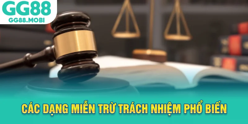 Các dạng miễn trừ trách nhiệm phổ biến